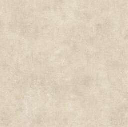 ���� Alessandro Allori  Berti 15044-5