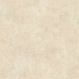 ���� Alessandro Allori  Berti 15044-6