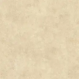  Alessandro Allori  Berti 15044-7
