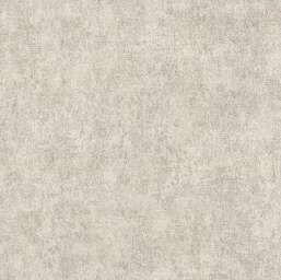 ���� Alessandro Allori  Berti 15046-4