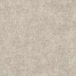 ���� Alessandro Allori  Berti 15046-5
