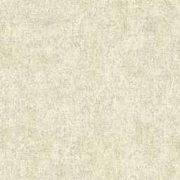 ���� Alessandro Allori  Berti 15046-7