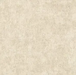  Alessandro Allori  Berti 15046-9