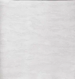  Alessandro Allori Bodega 2406-1 -  1