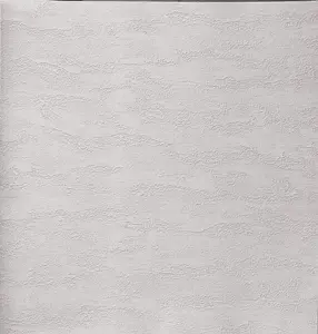  Alessandro Allori Bodega 2406-6 -  1