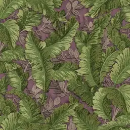  Alessandro Allori Breeze RDT2201-9