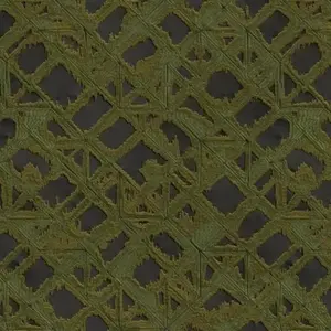  Alessandro Allori Breeze RDT2202-10 -  1