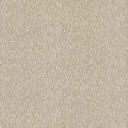  Alessandro Allori Breeze RDT2205-3