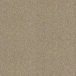  Alessandro Allori Breeze RDT2205-5