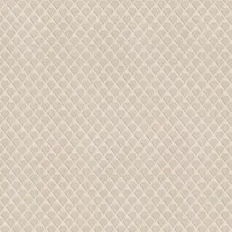  Alessandro Allori Breeze RDT2208-2