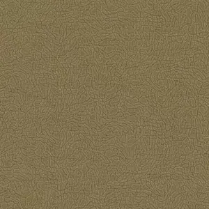  Alessandro Allori Breeze RDT2210-6 -  1