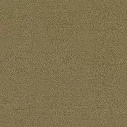  Alessandro Allori Breeze RDT2210-6