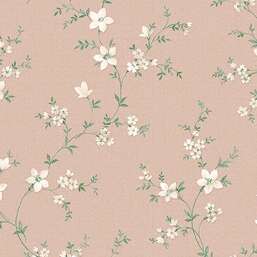 ���� Alessandro Allori Bruni RBN 1001-5