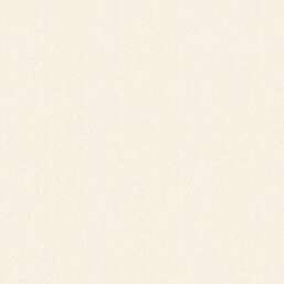 ���� Alessandro Allori Bruni RBN 1002-06