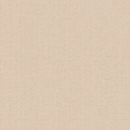 ���� Alessandro Allori Bruni RBN 1002-09