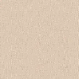  Alessandro Allori Bruni RBN 1002-09