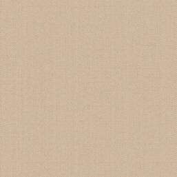 ���� Alessandro Allori Bruni RBN 1002-10