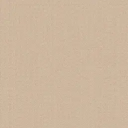  Alessandro Allori Bruni RBN 1002-10