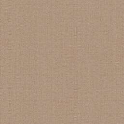 ���� Alessandro Allori Bruni RBN 1002-11