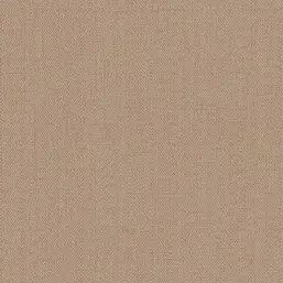  Alessandro Allori Bruni RBN 1002-11