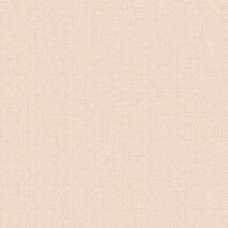 ���� Alessandro Allori Bruni RBN 1002-13