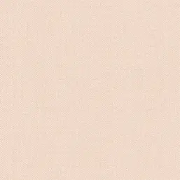  Alessandro Allori Bruni RBN 1002-13