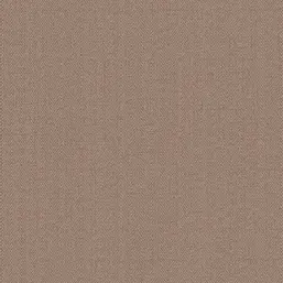  Alessandro Allori Bruni RBN 1002-19