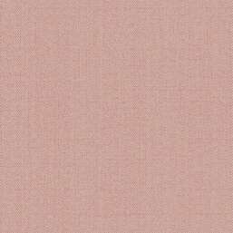 ���� Alessandro Allori Bruni RBN 1002-20