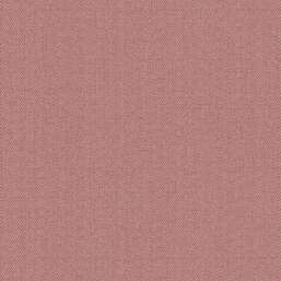 ���� Alessandro Allori Bruni RBN 1002-21