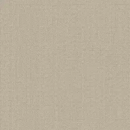  Alessandro Allori Bruni RBN 1002-25