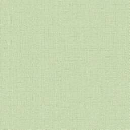 ���� Alessandro Allori Bruni RBN 1002-36