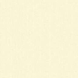 ���� Alessandro Allori Bruni RBN 1002-45