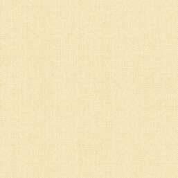 ���� Alessandro Allori Bruni RBN 1002-46