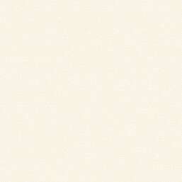 ���� Alessandro Allori Bruni RBN 1003-1