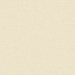 ���� Alessandro Allori Bruni RBN 1003-3