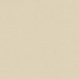  Alessandro Allori Bruni RBN 1003-4