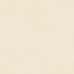  Alessandro Allori Bruni RBN 1003-5