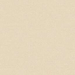 ���� Alessandro Allori Bruni RBN 1003-6