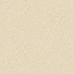  Alessandro Allori Bruni RBN 1003-6