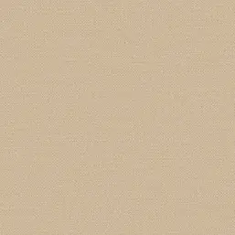  Alessandro Allori Bruni RBN 1003-7