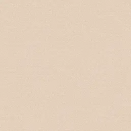  Alessandro Allori Bruni RBN 1003-8