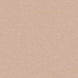 ���� Alessandro Allori Bruni RBN 1003-9