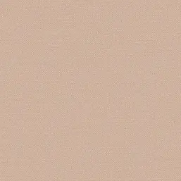  Alessandro Allori Bruni RBN 1003-9