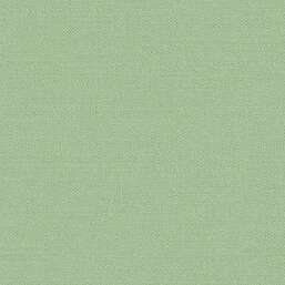 ���� Alessandro Allori Bruni RBN 1003-14