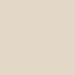 ���� Alessandro Allori Bruni RBN 1004-5