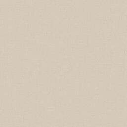 ���� Alessandro Allori Bruni RBN 1004-6