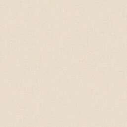 ���� Alessandro Allori Bruni RBN 1004-8