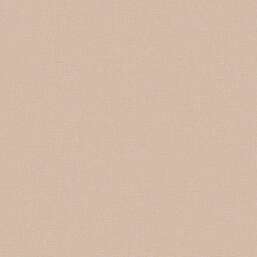 ���� Alessandro Allori Bruni RBN 1004-9