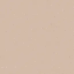  Alessandro Allori Bruni RBN 1004-9