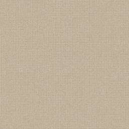 ���� Alessandro Allori Bruni RBN 1005-4